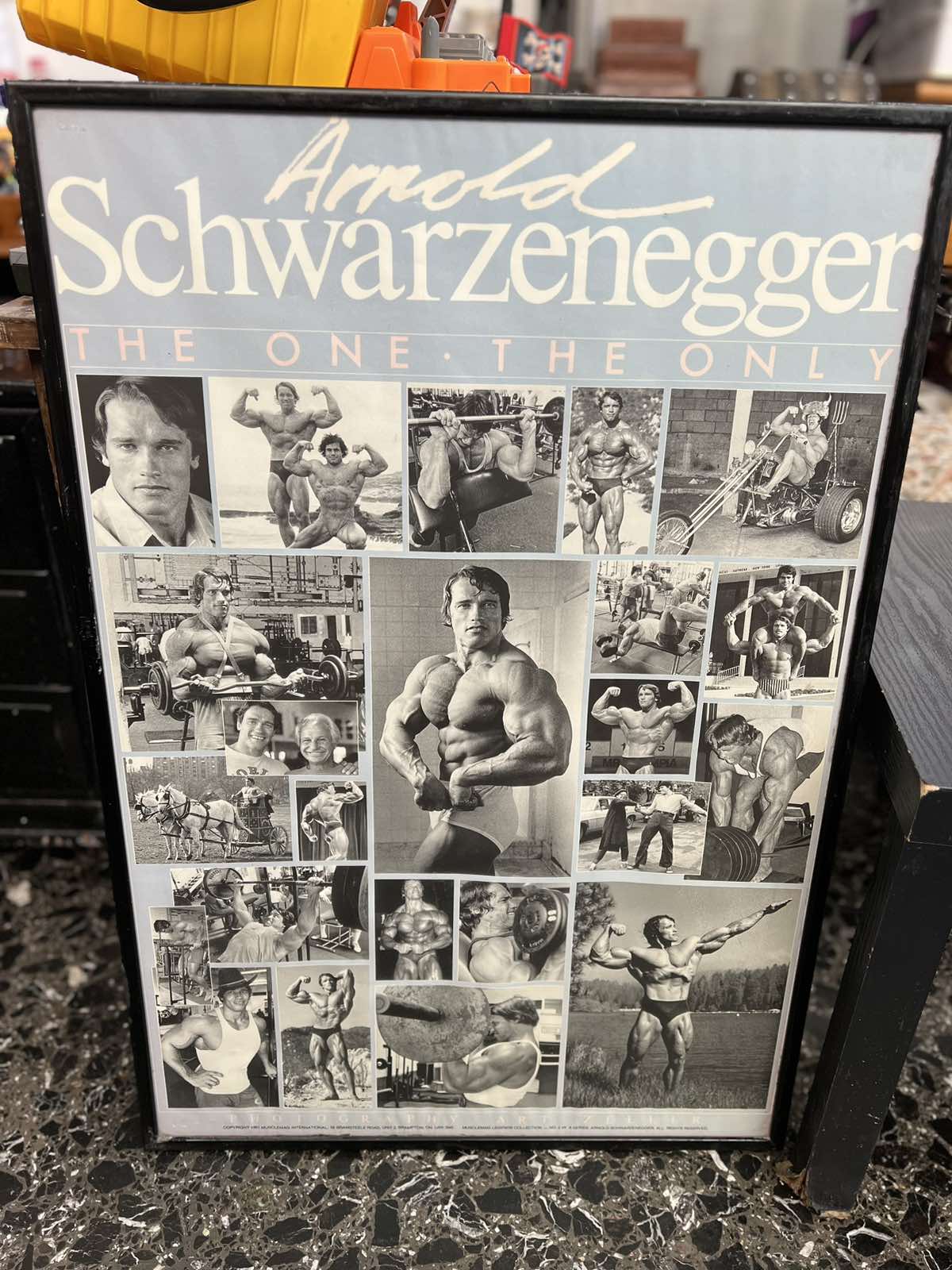 Κάδρο Τοίχου Vintage Arnold Schwarzenegger