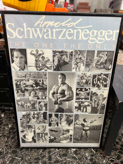 Κάδρο Τοίχου Vintage Arnold Schwarzenegger